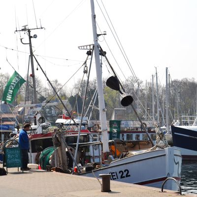Fischkutter M&ouml;ltenort